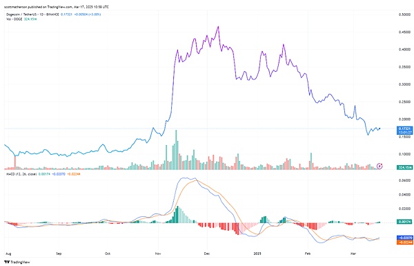比特币大涨800点，我们赚翻了！