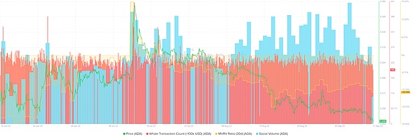 比特币的真相：它根本不是你以为的那种加密货币
